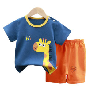Baby Boy T-shirt Set Online